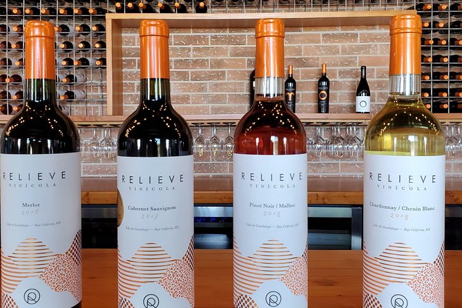 Valle De Guadalupe Wine Tour - Exploring the Wine Region