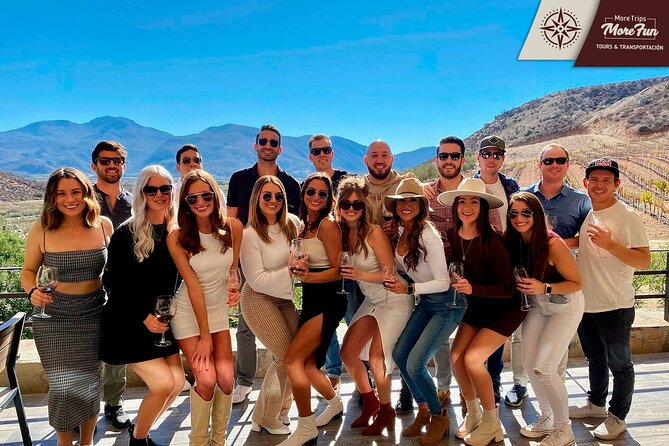 Valle De Guadalupe Winery and Brewery Tours - Customer Experiences and Reviews