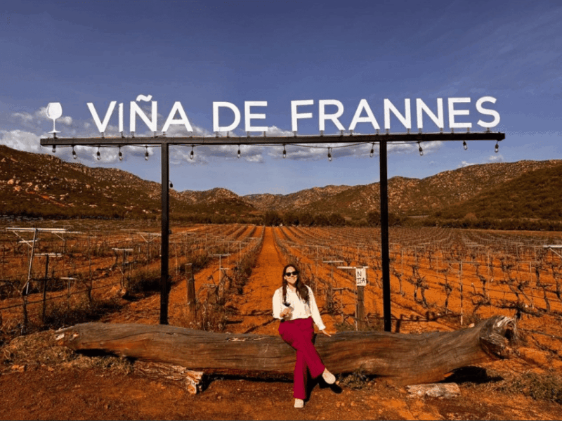 Valle De Guadalupe: Winery Tour With Tastings - Key Points
