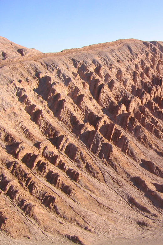 Valle De La Luna - Tour Inclusions
