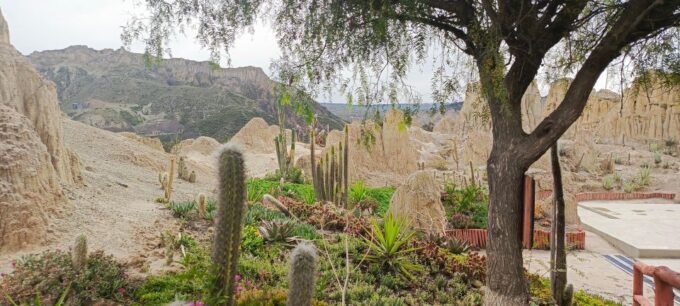 Valle De Las Animas, Moon Valley, Killi Killi Half Day Tour - Booking Information