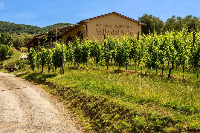Valle Del Sole Tour and Tasting of Our Top Wines - Additional Tour Information