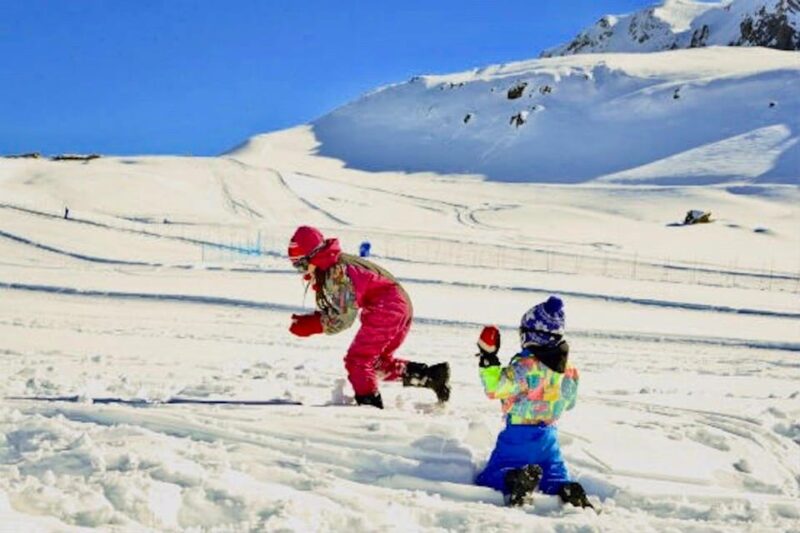 Valle Nevado and Farellones Panoramic Full Day - Activities and Highlights