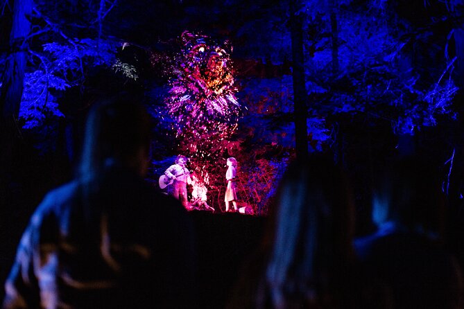 Vallea Lumina Multimedia Experience - Additional Information for Visitors