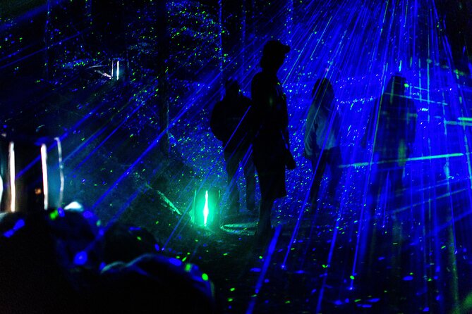 Vallea Lumina Multimedia Experience - Pricing for Vallea Lumina