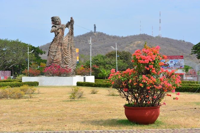 Valledupar Panoramic City Tour - Key Points