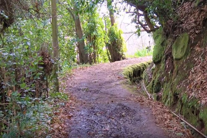 Valley De Paradise Levada Walk - Key Points