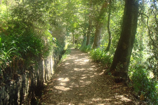 Valley De Paradise Levada Walk - Tour Inclusions