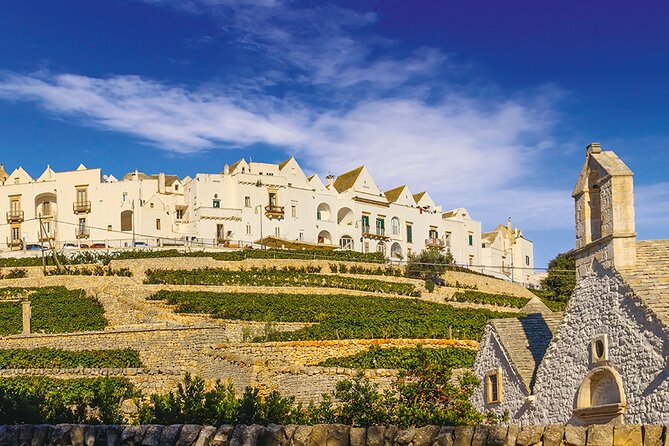 Valley Ditria Full Day Tour Cisternino Alberobello and Polignano a Mare - Key Points