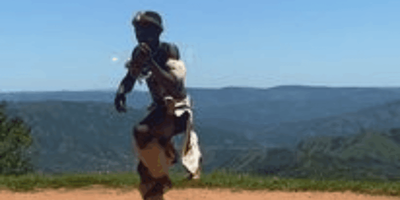 Valley of 1000 Hills PheZulu Safari Park and Inanda Dam - Reptile Farm Tour