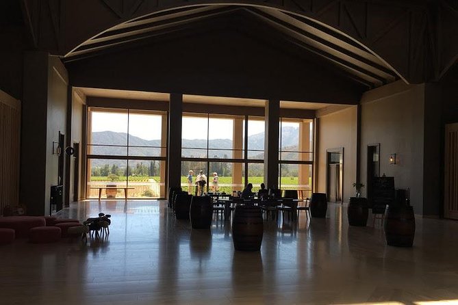 Valley of Casablanca - Winery Visits and Tastings