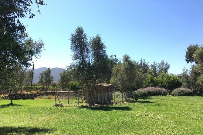 Valley of Casablanca - Meeting and Pickup Details