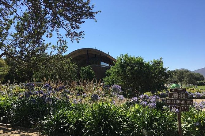 Valley of Casablanca - Winery Visits and Tastings
