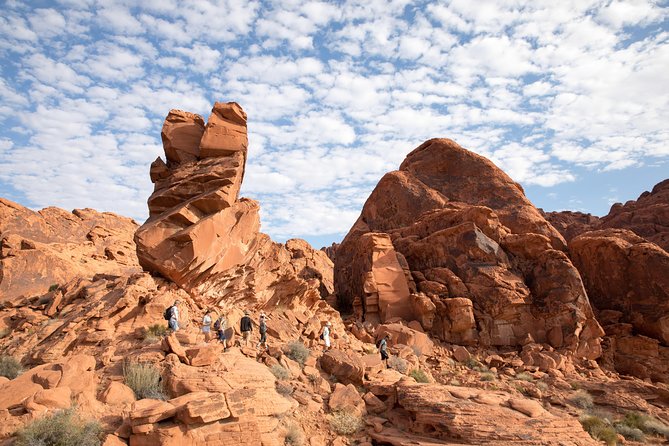 Valley of Fire Hiking Tour From Las Vegas - Hiking Levels and Fitness