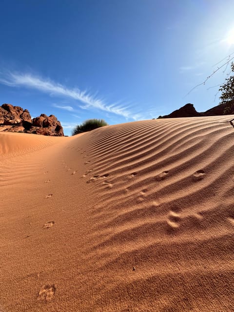 Valley Of Fire: Red Sands Adventure Las Vegas Wildlife - Discover Mount Huntingtons Panoramic Vistas