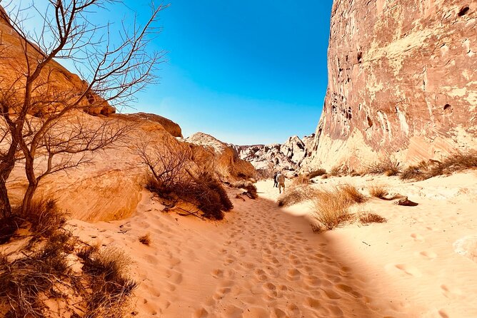 Valley of Fire Scenic VIP Small Group Tour From Las Vegas - Tour Reviews and Ratings