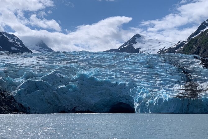 Valley of Glaciers Experience With Portage Glacier Cruise and Wildlife Tour - Customer Reviews