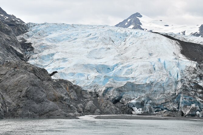 Valley of Glaciers Experience With Portage Glacier Cruise and Wildlife Tour - Pricing Details