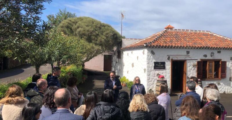 Valley of Tegueste : Wine Tour & Taste in El Lomo Winery - Tasting and Pairing Details