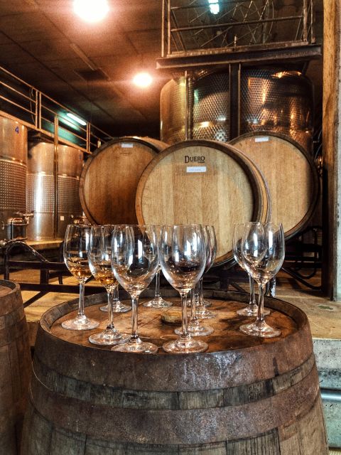 Valley of Tegueste : Wine Tour & Taste in El Lomo Winery - Important Planning Information
