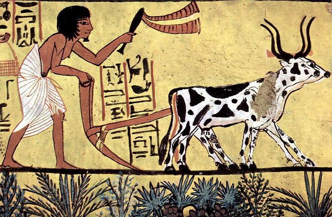 Valley Of The Nobles, Valley Of The Artisans and Deir El-Medina - Key Points