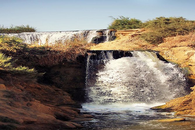 Valley of Whales and Wadi El Rayan Water Falls Day Tour From Cairo - Included in the Tour