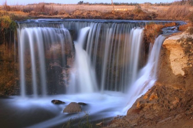 Valley of Whales and Wadi El Rayan Water Falls Day Tour From Cairo - Logistical Details