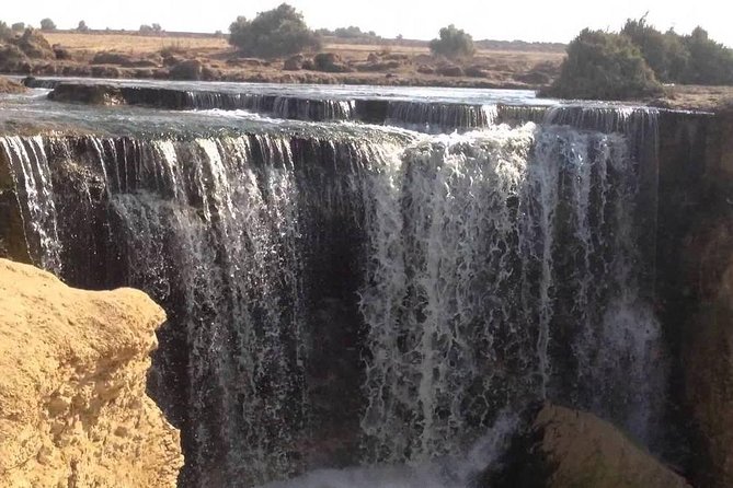 Valley of Whales and Wadi El Rayan Water Falls Day Tour From Cairo - Visiting the Waterfalls