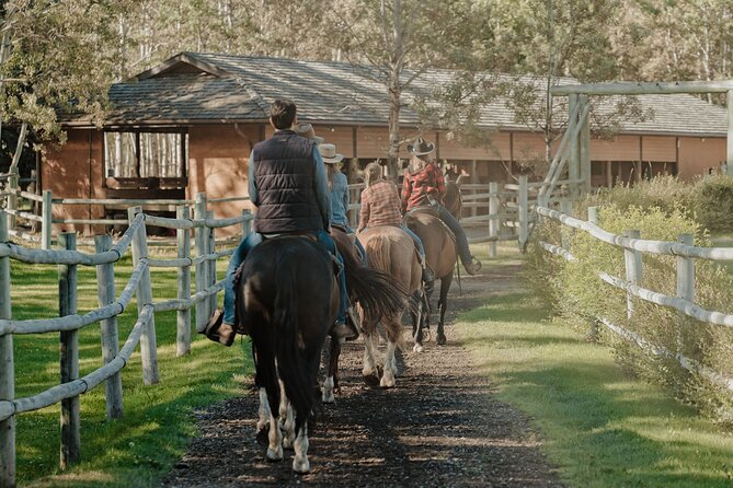 Valley Vista 1.5 Hour Horseback Trail Ride in Kananaskis - Inclusion and Equipment