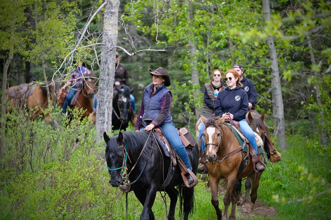 Valley Vista 1.5 Hour Horseback Trail Ride in Kananaskis - Professional Guides and Experience