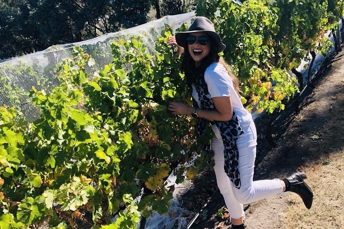 Valleys of Vino Tour - Guest Requirements