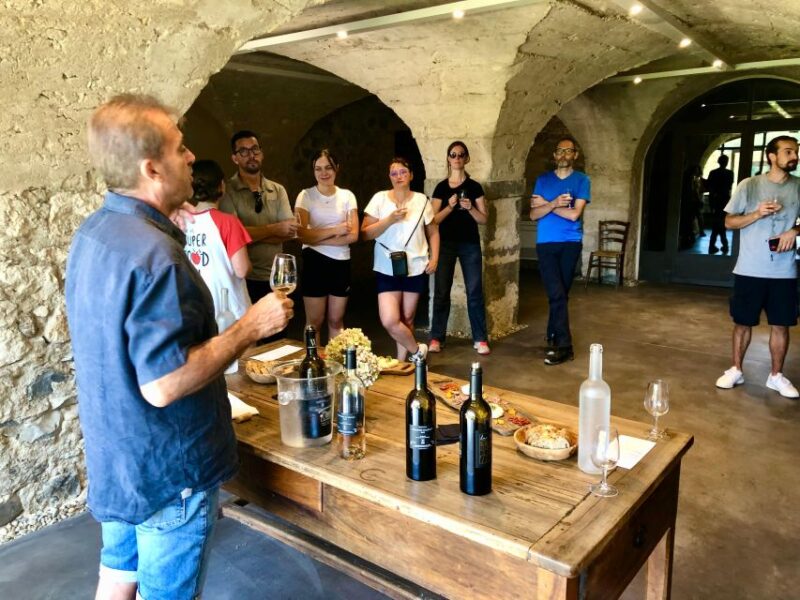 Vallon-Pont-d'Arc: Electric Bike Wine Tour & Tasting - Additional Services