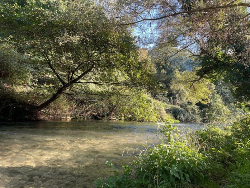 Valnerina: Fly Fishing Day With Guide - Key Points