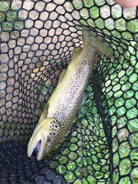 Valnerina: Fly Fishing Day With Guide - Inclusions and Requirements