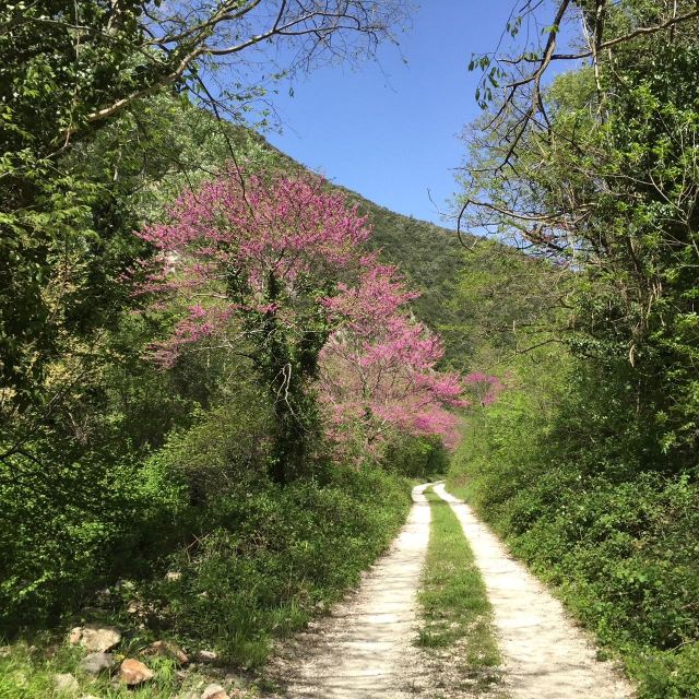Valnerina: Fly Fishing Day With Guide - Cancellation and Refund Policy