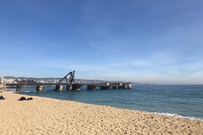 Valparaíso and Viña Del Mar for 1 Day - Traveler Reviews