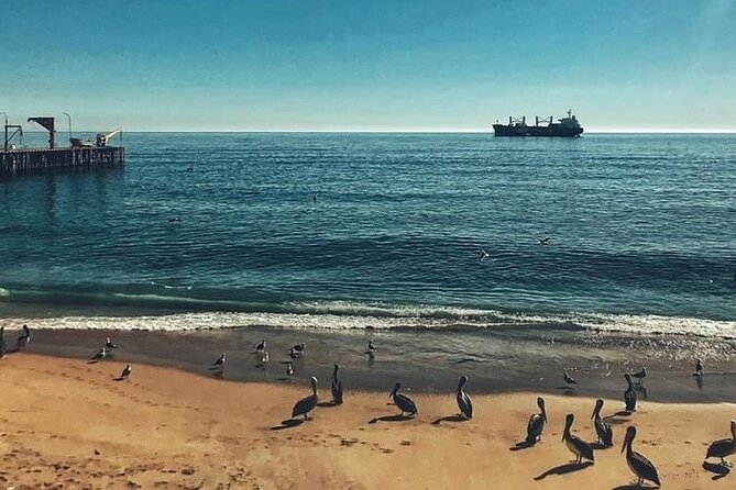 Valparaiso and Viña Del Mar Tour and Casablanca Valley Wine Shop - Tour Overview and Highlights