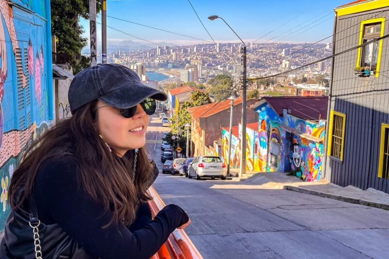 Valparaiso Art and Culture With Tasting in Casablanca - Itinerary Highlights