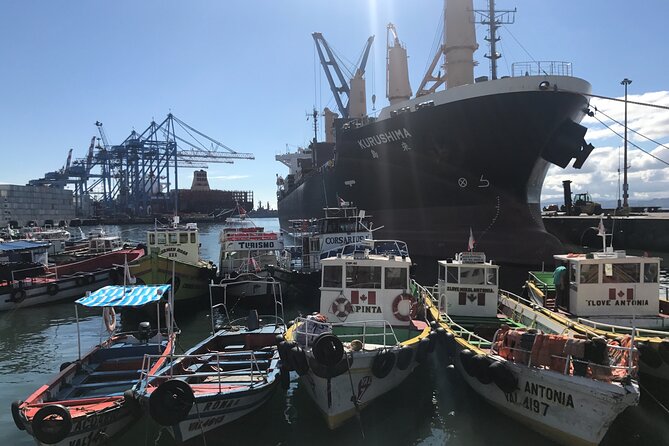 Valparaiso City Tour LGBT+ - Key Points