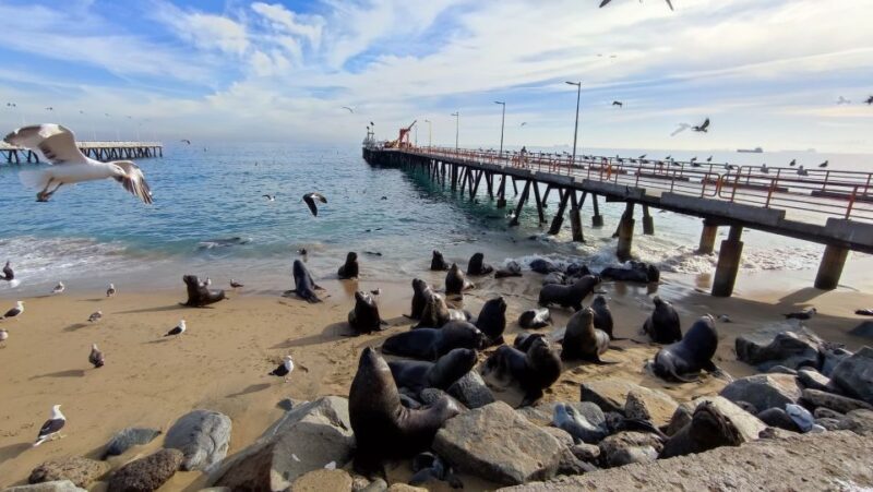 Valparaíso: Full-Day Private Tour With Funicular Ride - Itinerary Highlights