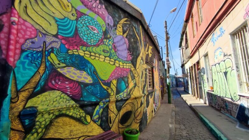 Valparaíso: Full-Day Private Tour With Funicular Ride - Customer Experiences and Reviews