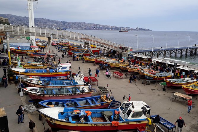 Valparaiso Private Tour and Wine Tasting - Duration and Pickup