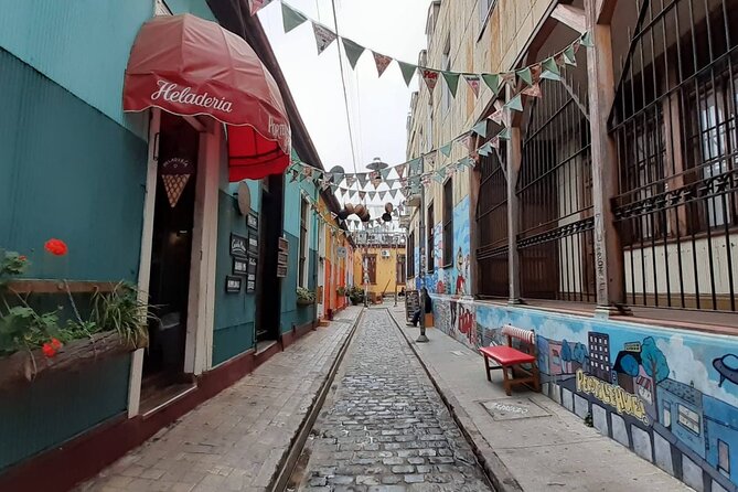 Valparaiso Private Tour and Wine Tasting - Included Experiences