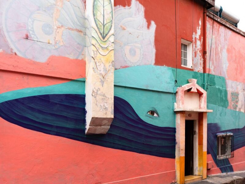 Valparaiso: Street Art Tour + Lunch in a Small Group - Pricing and Inclusions