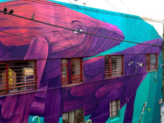 Valparaiso: Street Art Tour + Lunch in a Small Group - Weather and Attire