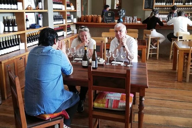 Valparaiso, Viña Del Mar and Casablanca Experience - Wine Tasting at Bodegas RE