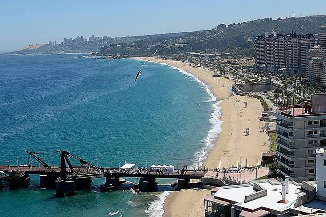 Valparaiso & Viña Del Mar City Tour Museum & Lunch FROM SANTIAGO - Participant Information