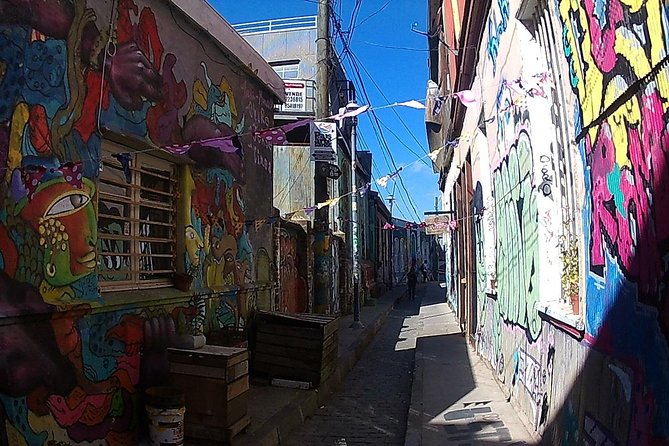 Valparaiso & Viña Del Mar City Tour Museum & Lunch FROM SANTIAGO - Neruda Museum Exploration