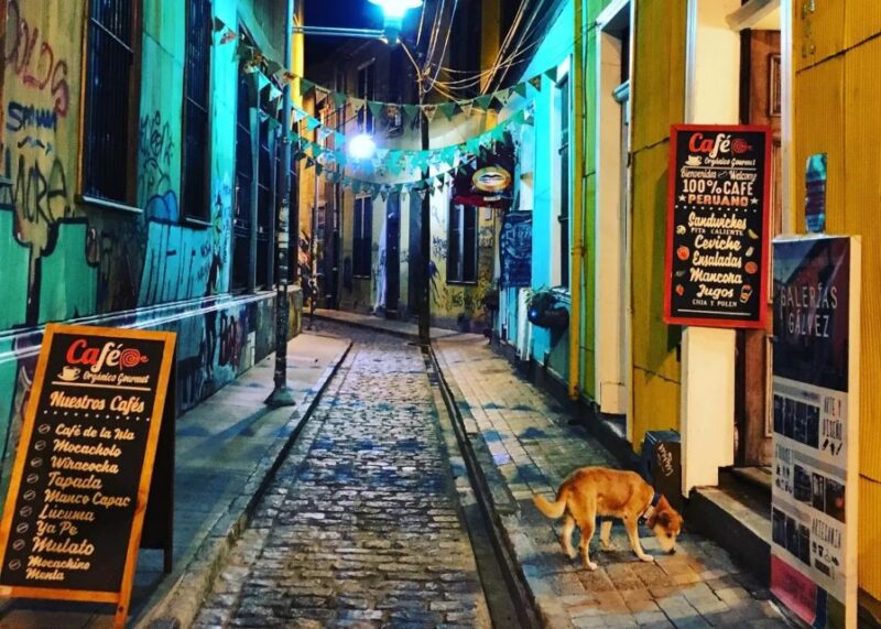 Valparaiso, Viña Del Mar, Winery, Sea Lions & Boat Ride - Winery Visit and Wine Tasting