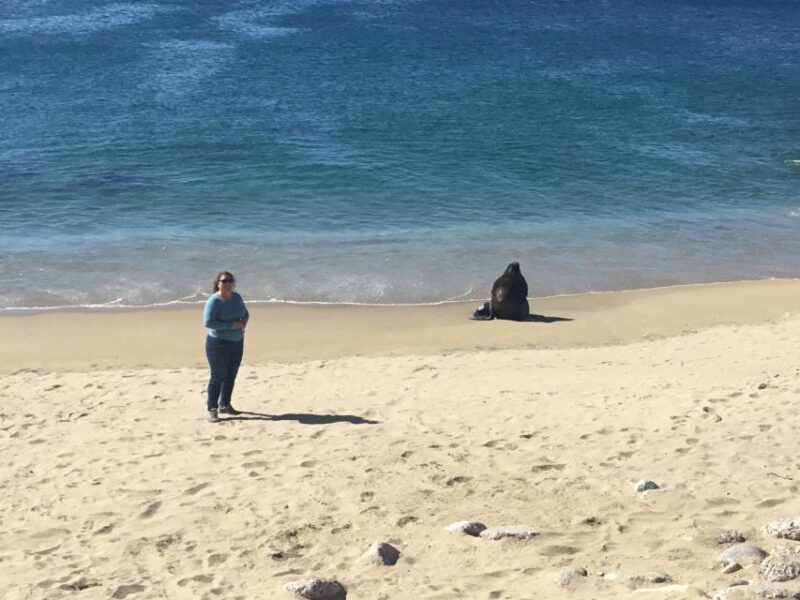 Valparaiso, Viña Del Mar, Winery, Sea Lions & Boat Ride - Exploring Viña Del Mar